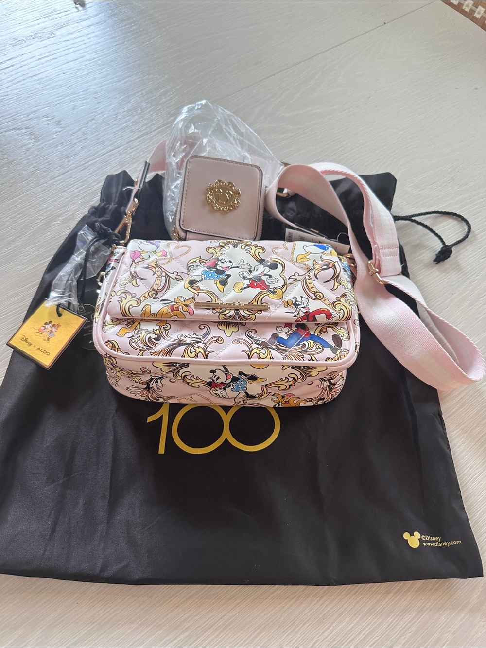 Disney Pink Mickey & Friends Printed Crossbody with Coin Case NEW w/Tags Aldo
